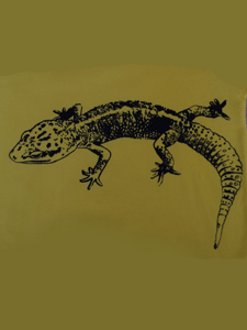 luipaardgekko