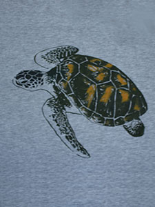 groene zeeschildpad