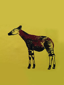 okapi